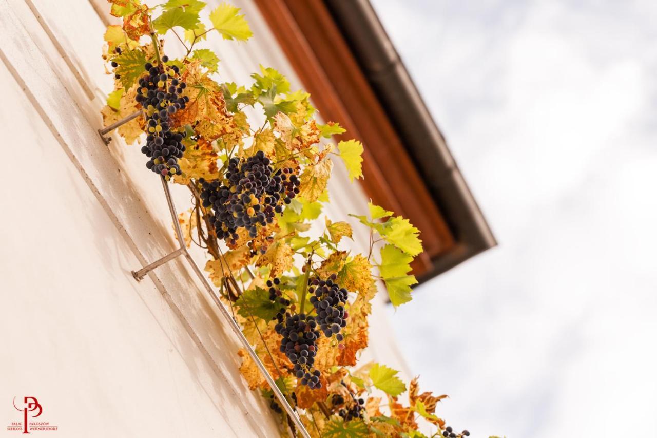 Palac Pakoszow Schlosshotel Wernersdorf Еленя-Гура Экстерьер фото Vineyards in the village of Saint-André-de-Valzach