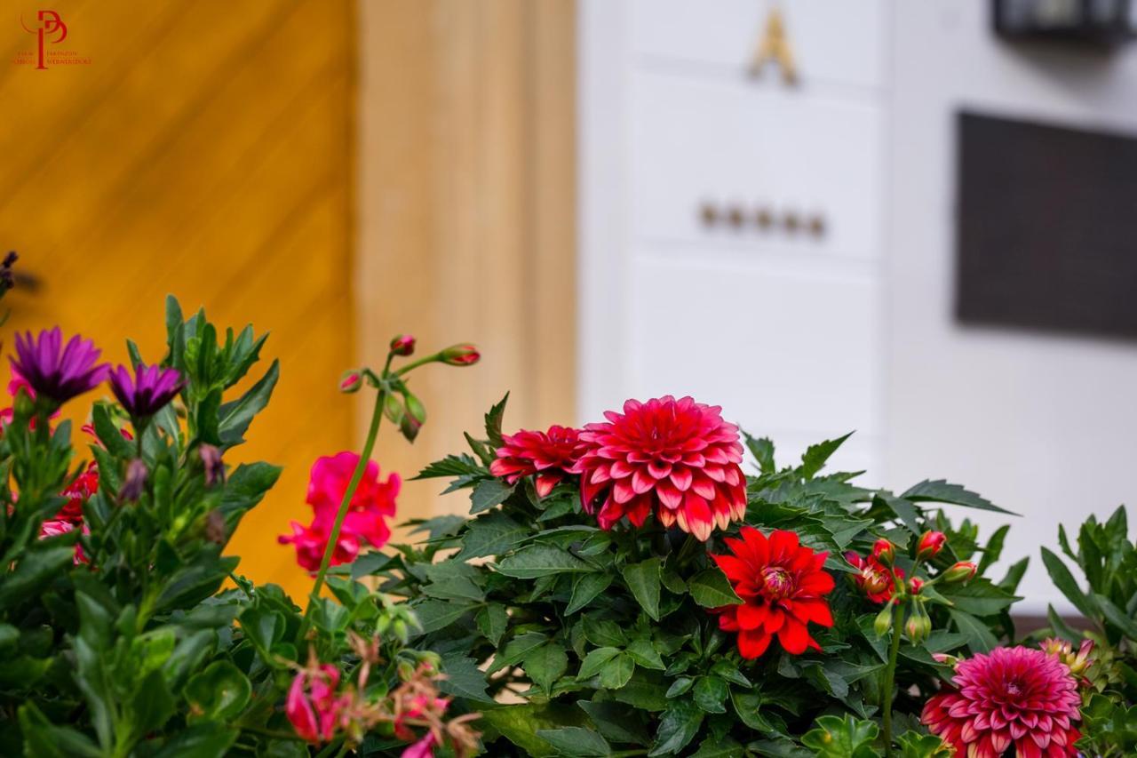 Palac Pakoszow Schlosshotel Wernersdorf Еленя-Гура Экстерьер фото Dahlia 'Red Charm'